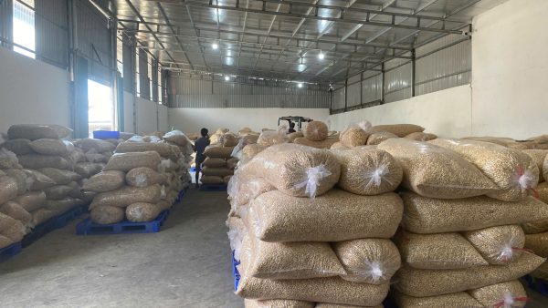 z5976601003473_0e0123902331c2b12ff561832adf9d99-600x338